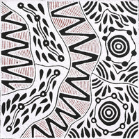 Aboriginal Artwork by Ursula Napangardi Hudson, Pikilyi Jukurrpa (Vaughan Springs Dreaming), 46x46cm