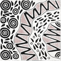 Aboriginal Artwork by Ursula Napangardi Hudson, Pikilyi Jukurrpa (Vaughan Springs Dreaming), 46x46cm