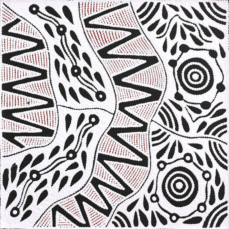 Aboriginal Artwork by Ursula Napangardi Hudson, Pikilyi Jukurrpa (Vaughan Springs Dreaming), 46x46cm
