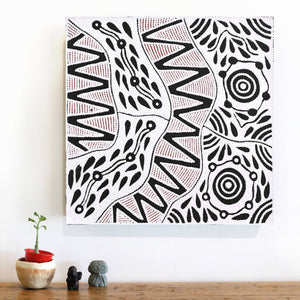 Aboriginal Art by Ursula Napangardi Hudson, Pikilyi Jukurrpa (Vaughan Springs Dreaming), 46x46cm - ART ARK®
