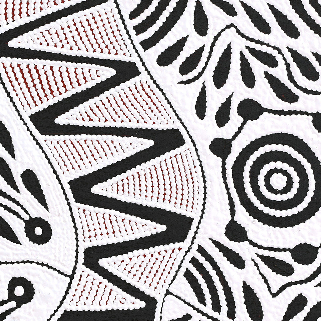 Aboriginal Artwork by Ursula Napangardi Hudson, Pikilyi Jukurrpa (Vaughan Springs Dreaming), 46x46cm