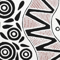 Aboriginal Artwork by Ursula Napangardi Hudson, Pikilyi Jukurrpa (Vaughan Springs Dreaming), 46x46cm