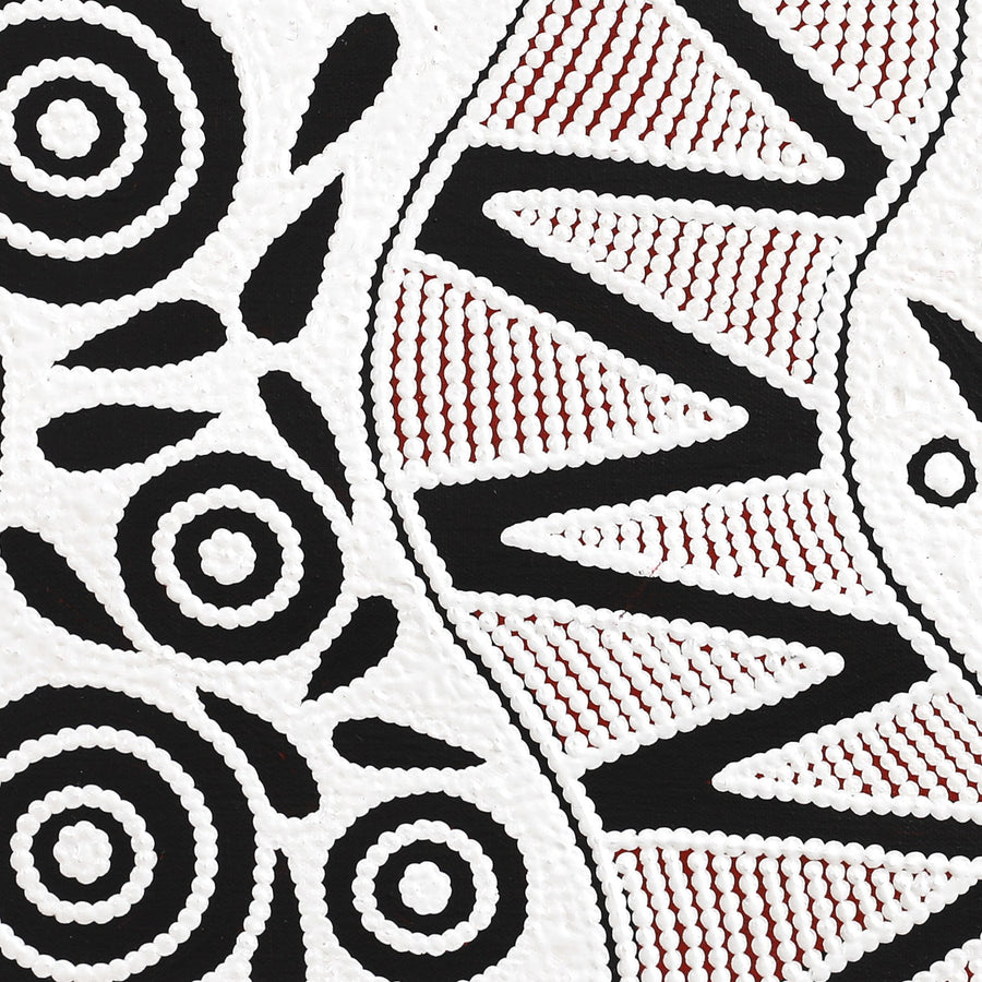 Aboriginal Artwork by Ursula Napangardi Hudson, Pikilyi Jukurrpa (Vaughan Springs Dreaming), 46x46cm