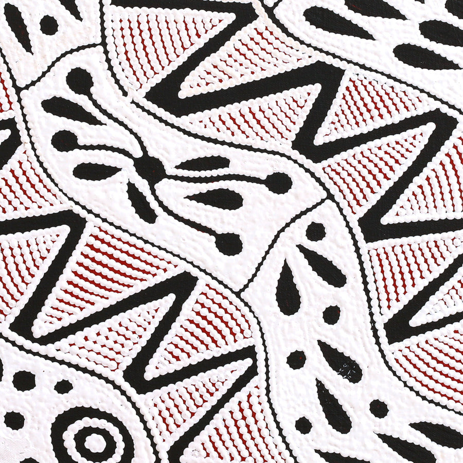 Aboriginal Artwork by Ursula Napangardi Hudson, Pikilyi Jukurrpa (Vaughan Springs Dreaming), 46x46cm