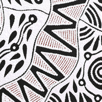 Aboriginal Artwork by Ursula Napangardi Hudson, Pikilyi Jukurrpa (Vaughan Springs Dreaming), 46x46cm