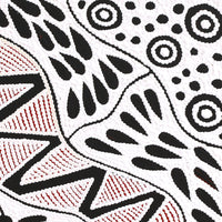 Aboriginal Artwork by Ursula Napangardi Hudson, Pikilyi Jukurrpa (Vaughan Springs Dreaming), 46x46cm