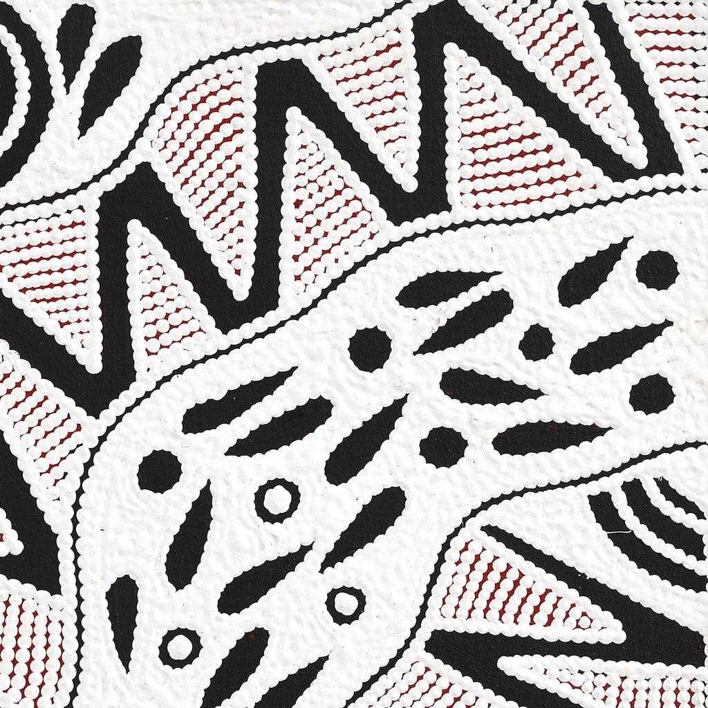 Aboriginal Artwork by Ursula Napangardi Hudson, Pikilyi Jukurrpa (Vaughan Springs Dreaming), 46x46cm