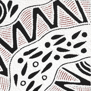 Aboriginal Artwork by Ursula Napangardi Hudson, Pikilyi Jukurrpa (Vaughan Springs Dreaming), 46x46cm - ART ARK®
