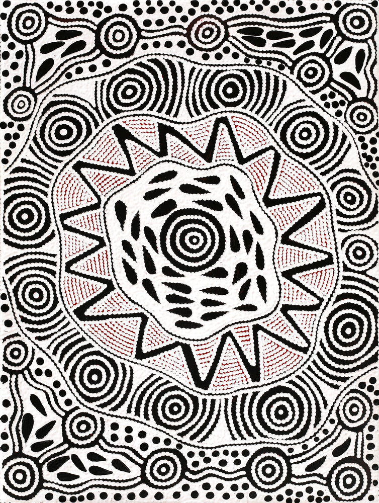 Aboriginal Artwork by Ursula Napangardi Hudson, Pikilyi Jukurrpa (Vaughan Springs Dreaming), 61x46cm