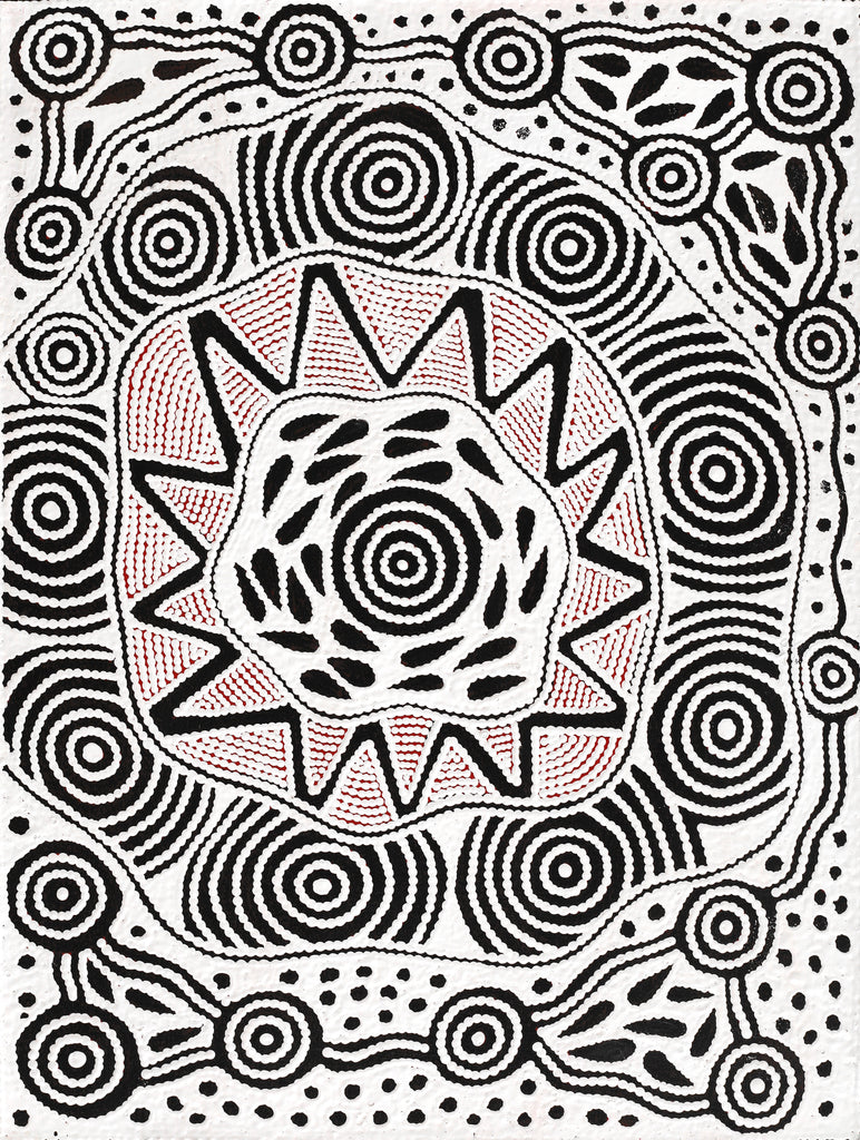 Aboriginal Artwork by Ursula Napangardi Hudson, Pikilyi Jukurrpa (Vaughan Springs Dreaming), 61x46cm