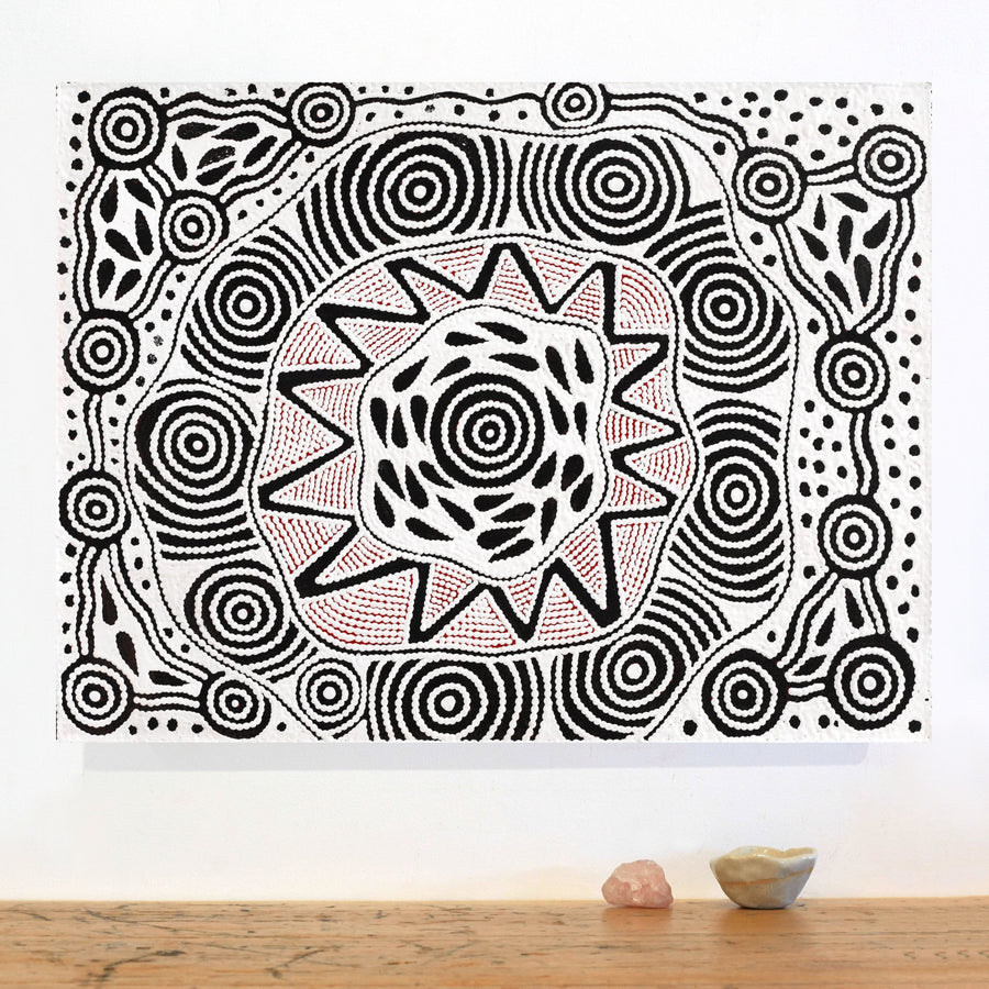 Aboriginal Artwork by Ursula Napangardi Hudson, Pikilyi Jukurrpa (Vaughan Springs Dreaming), 61x46cm