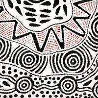 Aboriginal Artwork by Ursula Napangardi Hudson, Pikilyi Jukurrpa (Vaughan Springs Dreaming), 61x46cm
