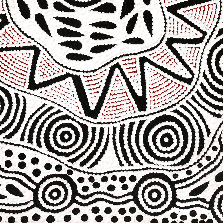 Aboriginal Artwork by Ursula Napangardi Hudson, Pikilyi Jukurrpa (Vaughan Springs Dreaming), 61x46cm