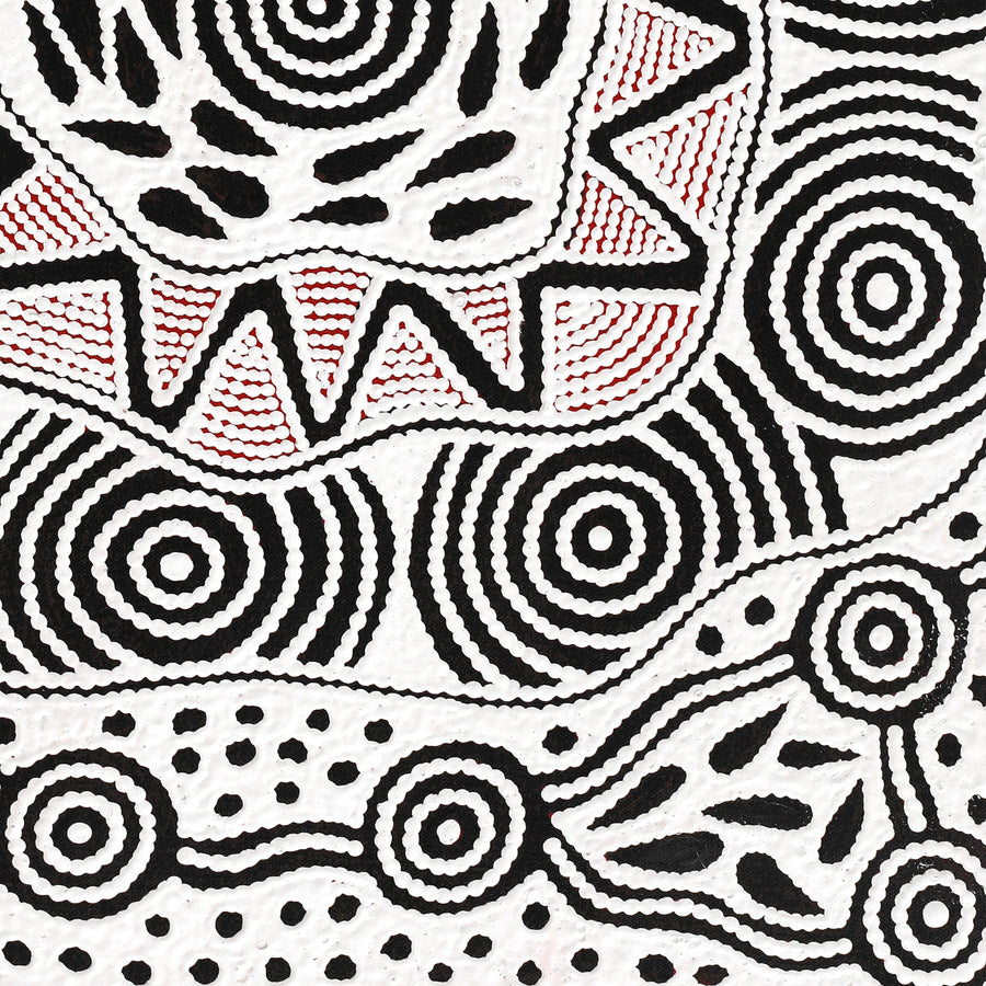 Aboriginal Artwork by Ursula Napangardi Hudson, Pikilyi Jukurrpa (Vaughan Springs Dreaming), 61x46cm