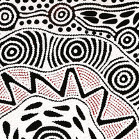 Aboriginal Artwork by Ursula Napangardi Hudson, Pikilyi Jukurrpa (Vaughan Springs Dreaming), 61x46cm