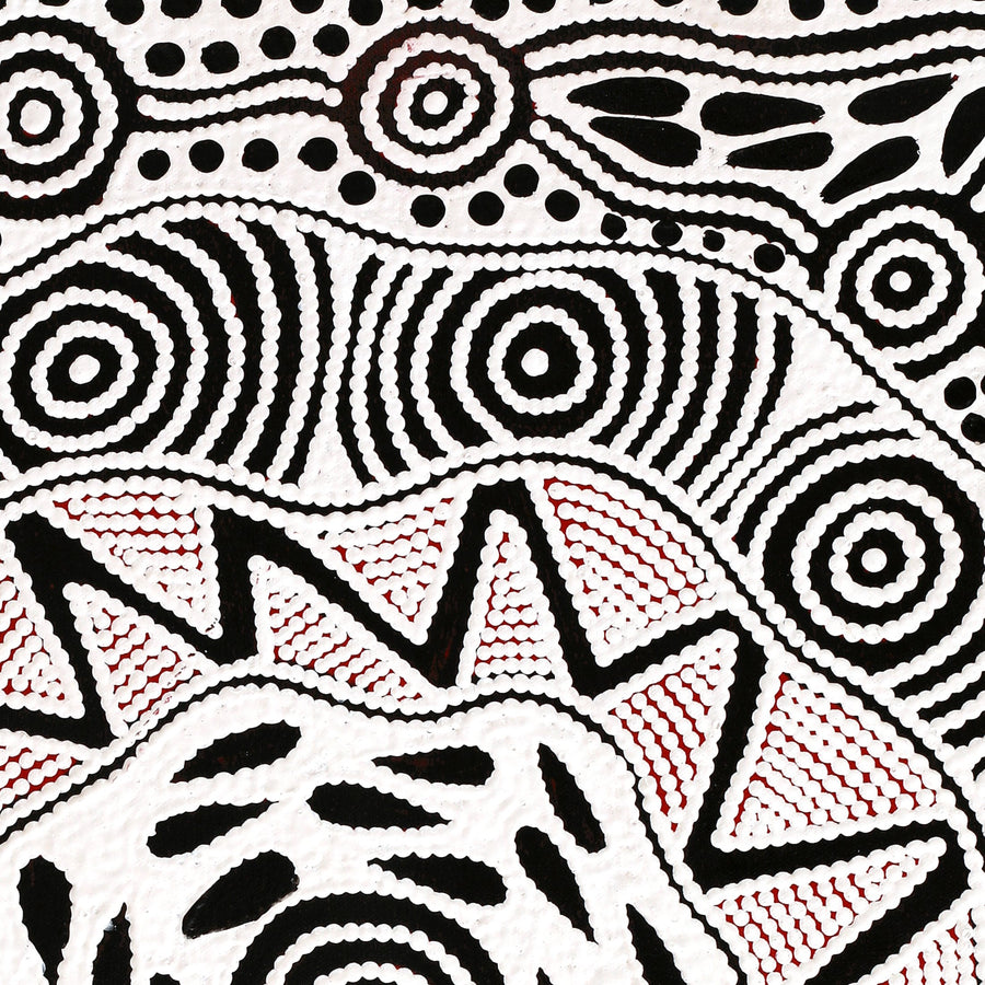Aboriginal Artwork by Ursula Napangardi Hudson, Pikilyi Jukurrpa (Vaughan Springs Dreaming), 61x46cm