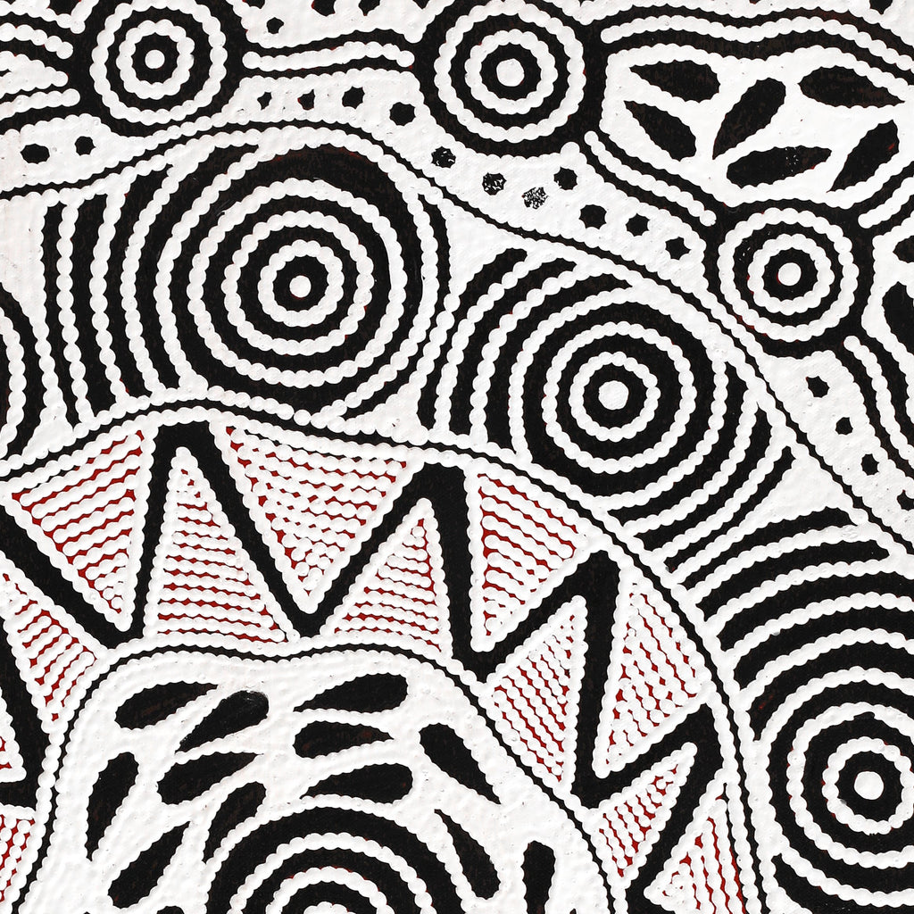 Aboriginal Artwork by Ursula Napangardi Hudson, Pikilyi Jukurrpa (Vaughan Springs Dreaming), 61x46cm