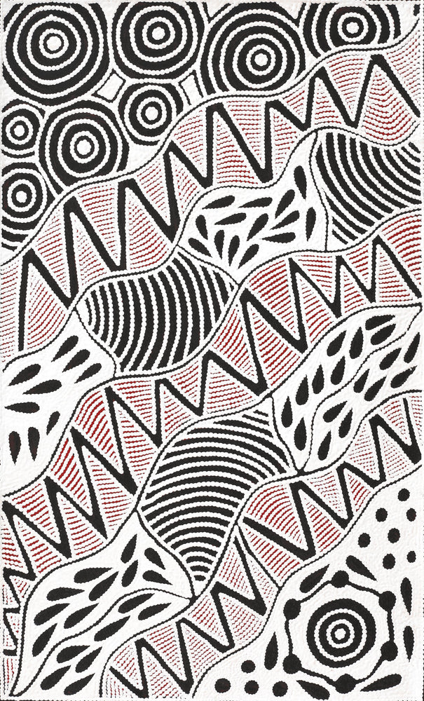 Aboriginal Artwork by Ursula Napangardi Hudson, Pikilyi Jukurrpa (Vaughan Springs Dreaming), 76x46cm