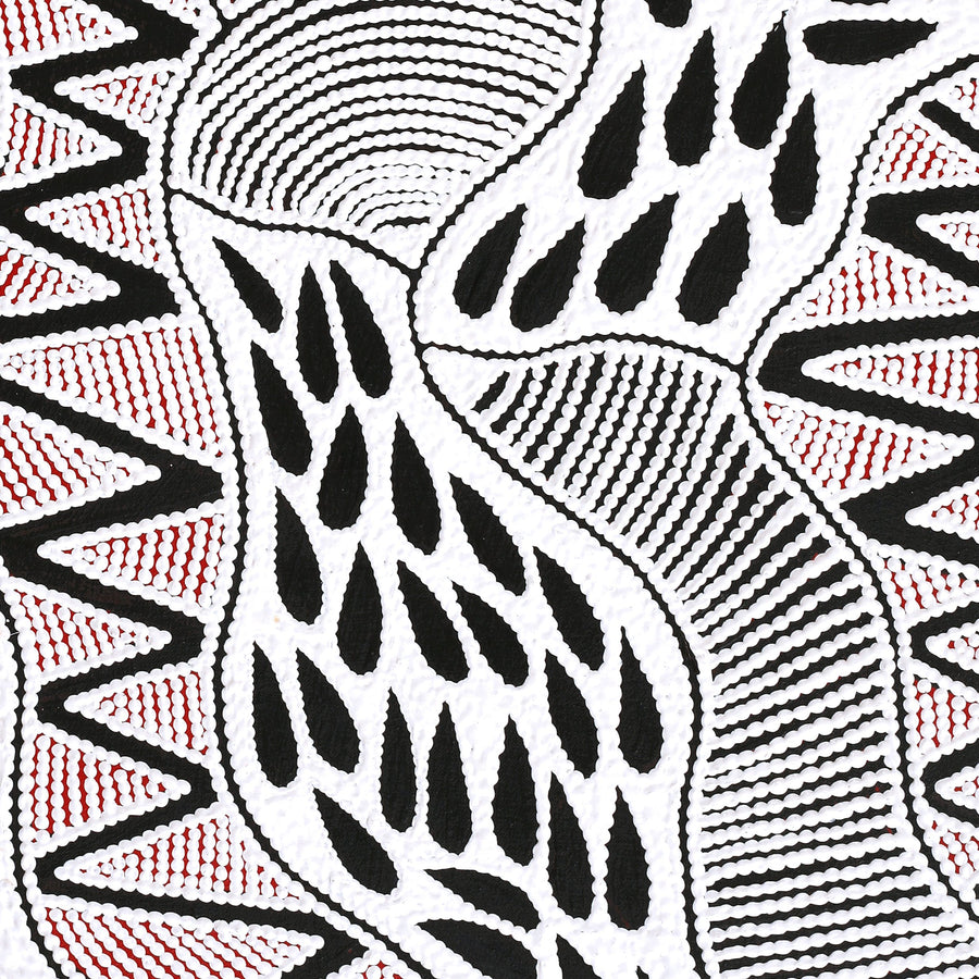 Aboriginal Artwork by Ursula Napangardi Hudson, Pikilyi Jukurrpa (Vaughan Springs Dreaming), 76x46cm