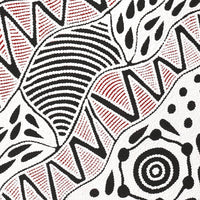 Aboriginal Artwork by Ursula Napangardi Hudson, Pikilyi Jukurrpa (Vaughan Springs Dreaming), 76x46cm