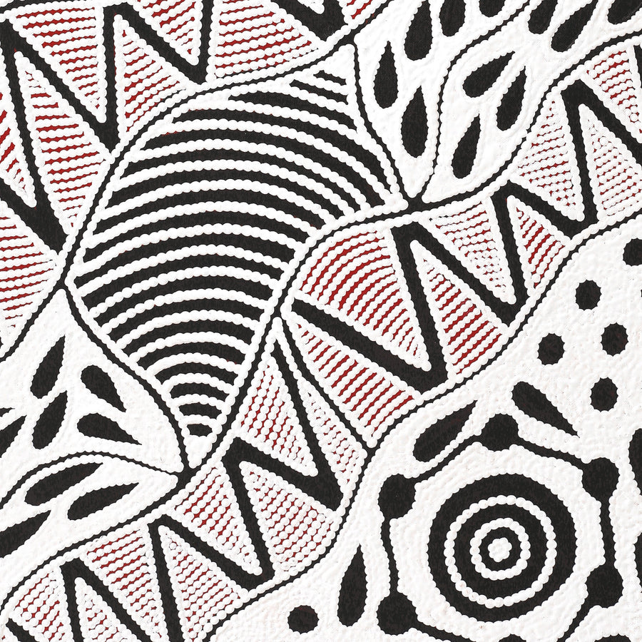 Aboriginal Artwork by Ursula Napangardi Hudson, Pikilyi Jukurrpa (Vaughan Springs Dreaming), 76x46cm