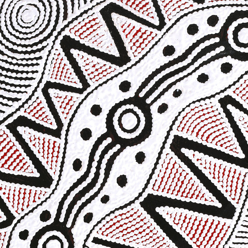 Aboriginal Artwork by Ursula Napangardi Hudson, Pikilyi Jukurrpa (Vaughan Springs Dreaming), 76x46cm