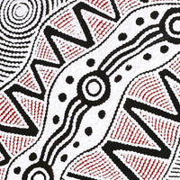 Aboriginal Artwork by Ursula Napangardi Hudson, Pikilyi Jukurrpa (Vaughan Springs Dreaming), 76x46cm
