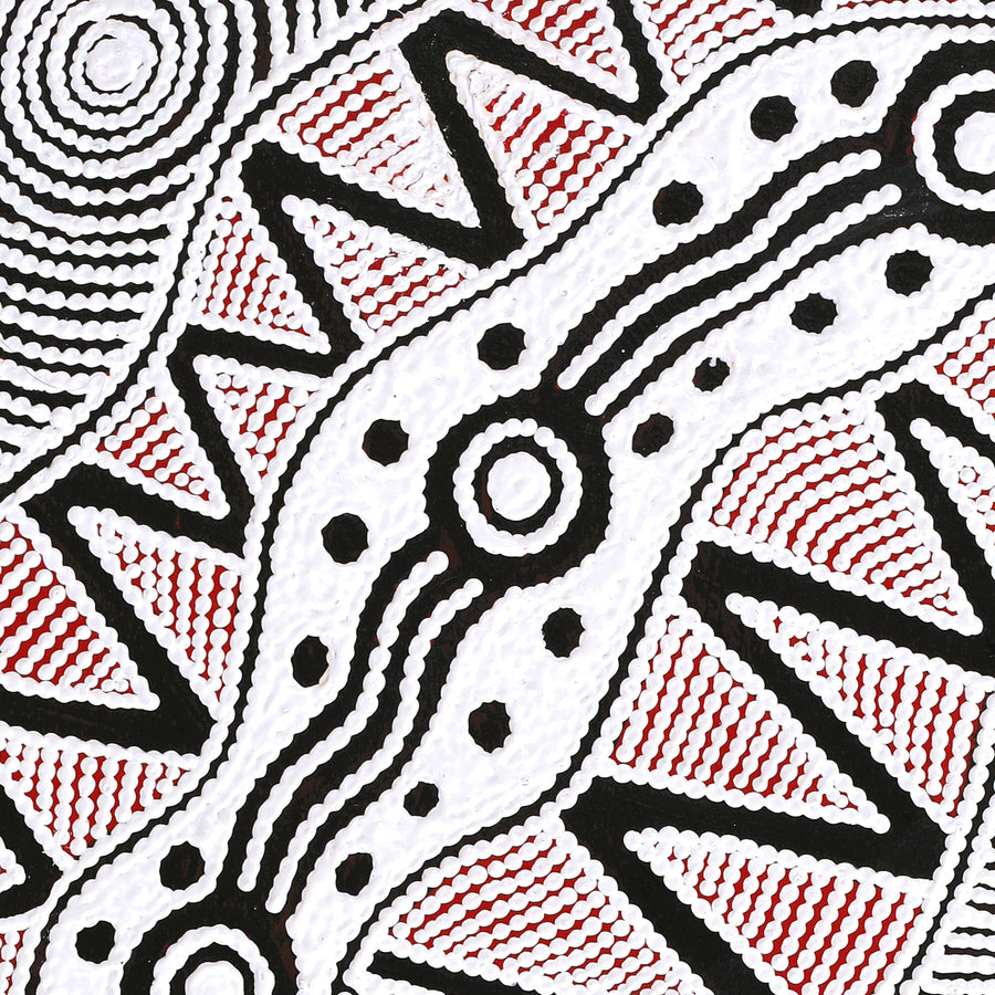 Aboriginal Artwork by Ursula Napangardi Hudson, Pikilyi Jukurrpa (Vaughan Springs Dreaming), 76x46cm