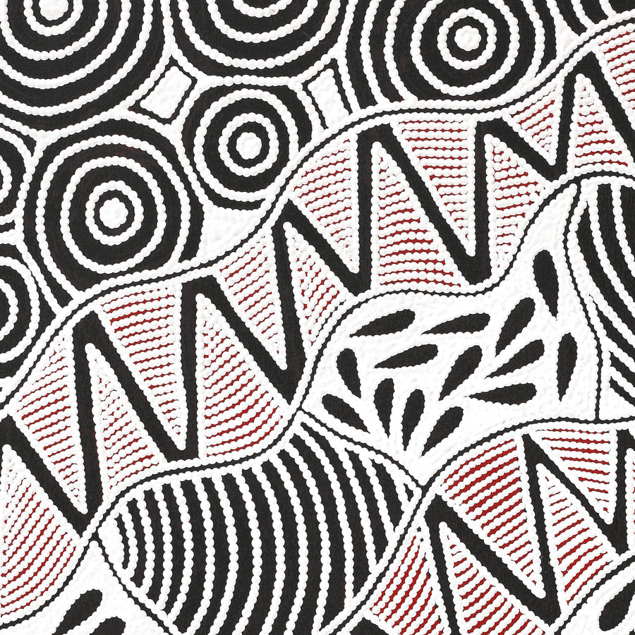 Aboriginal Artwork by Ursula Napangardi Hudson, Pikilyi Jukurrpa (Vaughan Springs Dreaming), 76x46cm