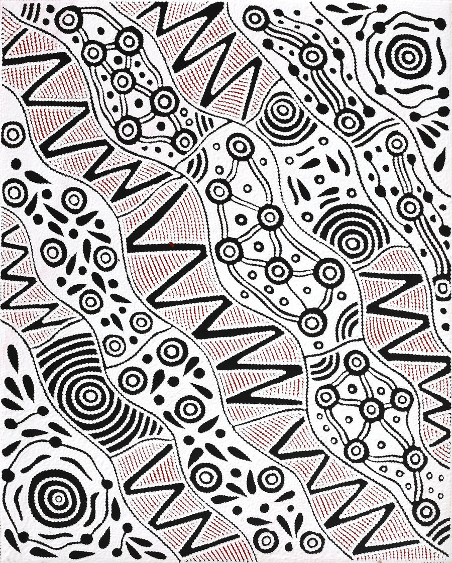 Aboriginal Artwork by Ursula Napangardi Hudson, Pikilyi Jukurrpa (Vaughan Springs Dreaming), 76x61cm