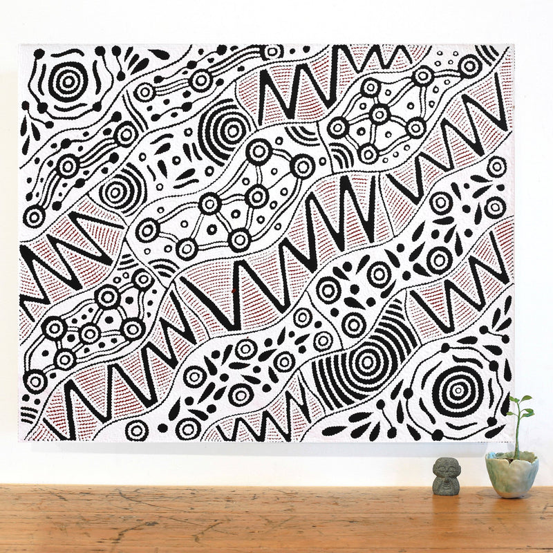 Aboriginal Artwork by Ursula Napangardi Hudson, Pikilyi Jukurrpa (Vaughan Springs Dreaming), 76x61cm