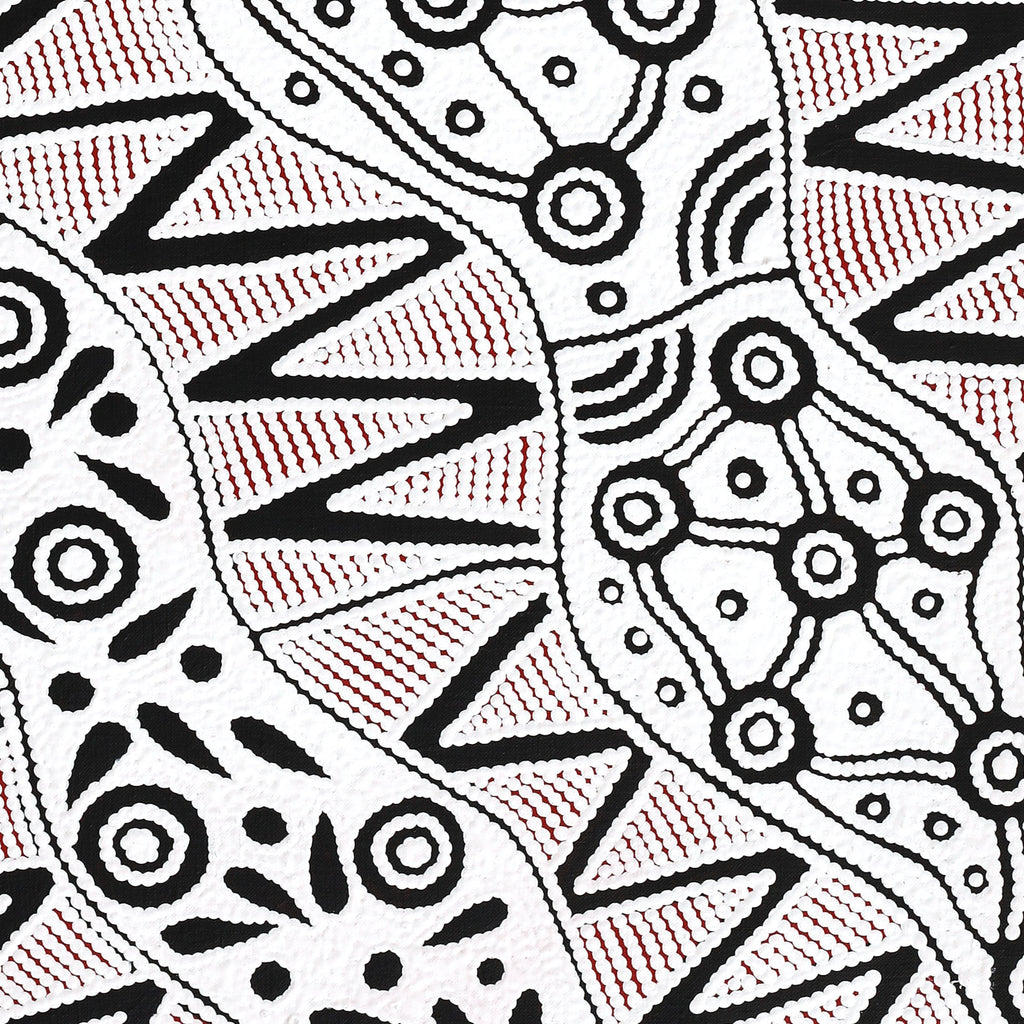 Aboriginal Artwork by Ursula Napangardi Hudson, Pikilyi Jukurrpa (Vaughan Springs Dreaming), 76x61cm