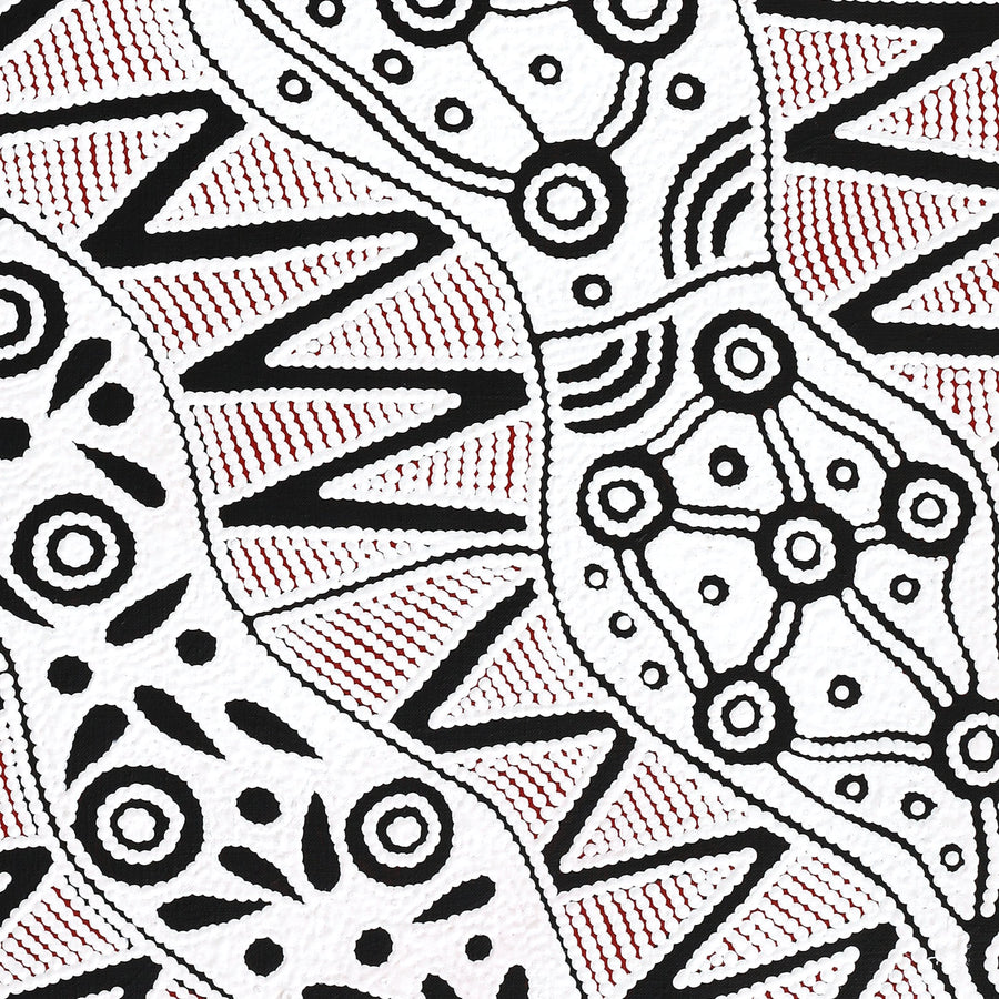 Aboriginal Artwork by Ursula Napangardi Hudson, Pikilyi Jukurrpa (Vaughan Springs Dreaming), 76x61cm