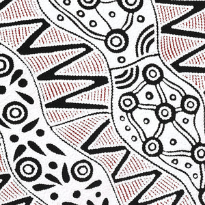 Aboriginal Artwork by Ursula Napangardi Hudson, Pikilyi Jukurrpa (Vaughan Springs Dreaming), 76x61cm - ART ARK®