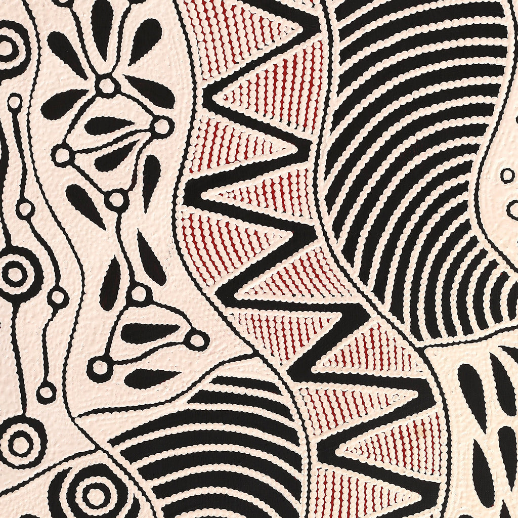 Aboriginal Artwork by Ursula Napangardi Hudson, Pikilyi Jukurrpa (Vaughan Springs Dreaming), 76x61cm