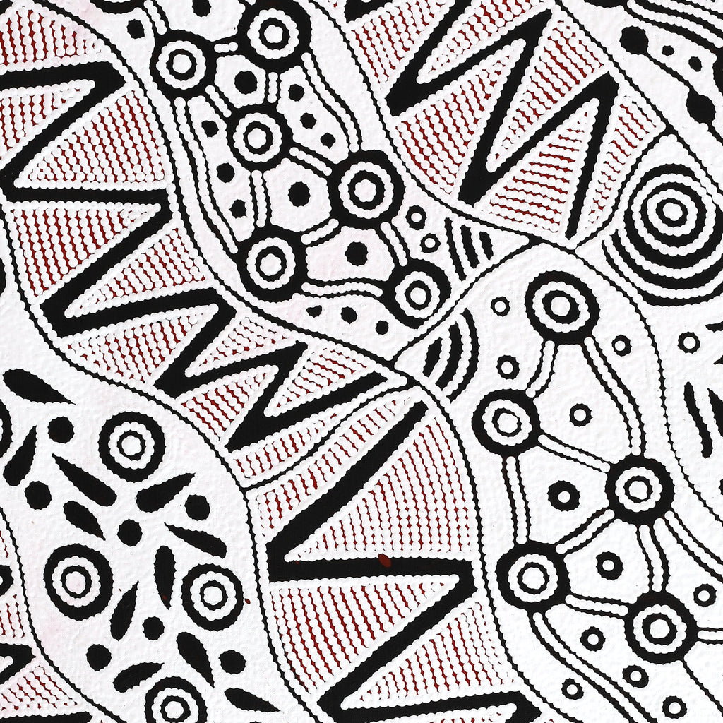 Aboriginal Artwork by Ursula Napangardi Hudson, Pikilyi Jukurrpa (Vaughan Springs Dreaming), 76x61cm - ART ARK®