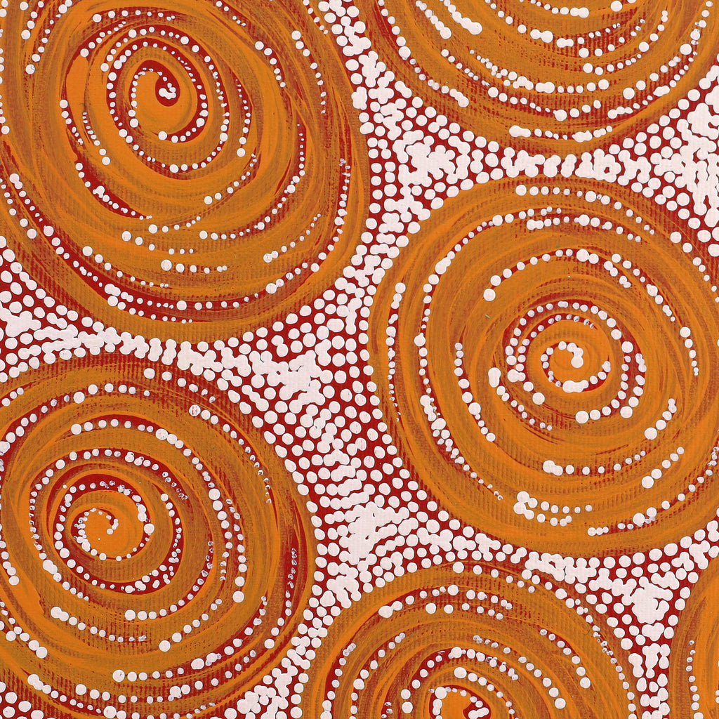 Aboriginal Artwork by Valda Napangardi Granites, Ngalyipi Jukurrpa (Snakevine Dreaming) - Mina Mina, 30x30cm