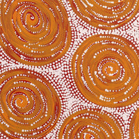 Aboriginal Artwork by Valda Napangardi Granites, Ngalyipi Jukurrpa (Snakevine Dreaming) - Mina Mina, 30x30cm