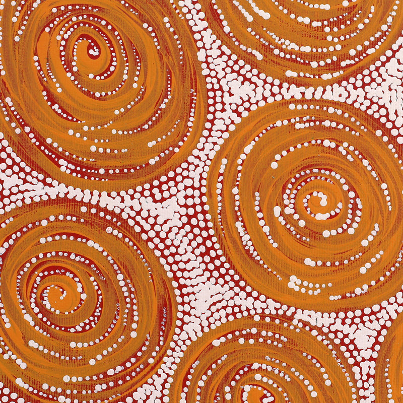 Aboriginal Artwork by Valda Napangardi Granites, Ngalyipi Jukurrpa (Snakevine Dreaming) - Mina Mina, 30x30cm