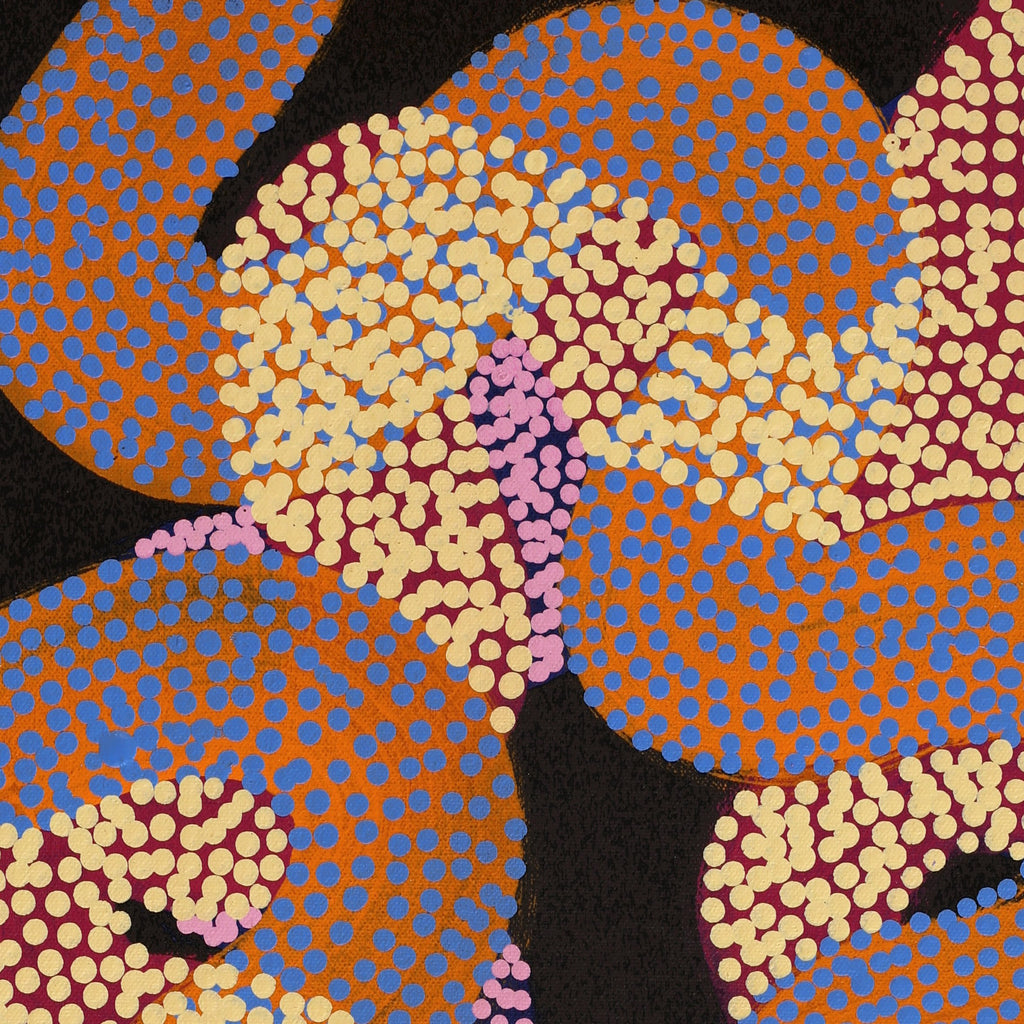 Aboriginal Artwork by Vanetta Nampijinpa Hudson, Warlukurlangu Jukurrpa (Fire country Dreaming), 61x30cm