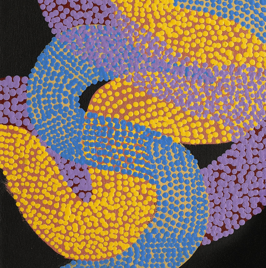 Aboriginal Artwork by Vanetta Nampijinpa Hudson, Warlukurlangu Jukurrpa (Fire country Dreaming), 61x30cm