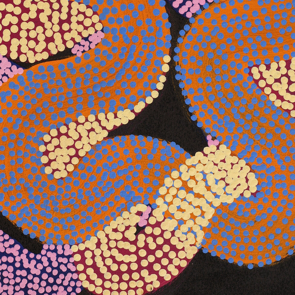 Aboriginal Artwork by Vanetta Nampijinpa Hudson, Warlukurlangu Jukurrpa (Fire country Dreaming), 61x30cm - ART ARK®