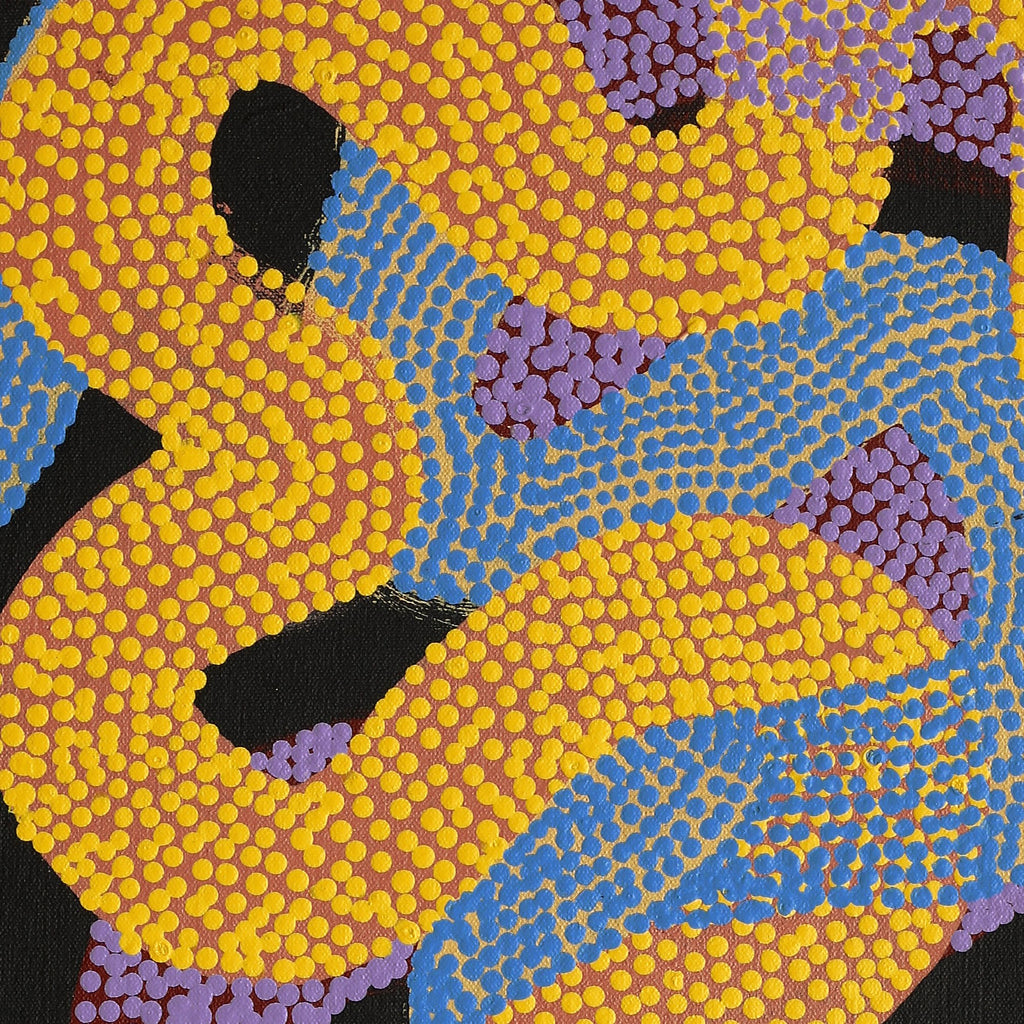 Aboriginal Artwork by Vanetta Nampijinpa Hudson, Warlukurlangu Jukurrpa (Fire country Dreaming), 61x30cm - ART ARK®