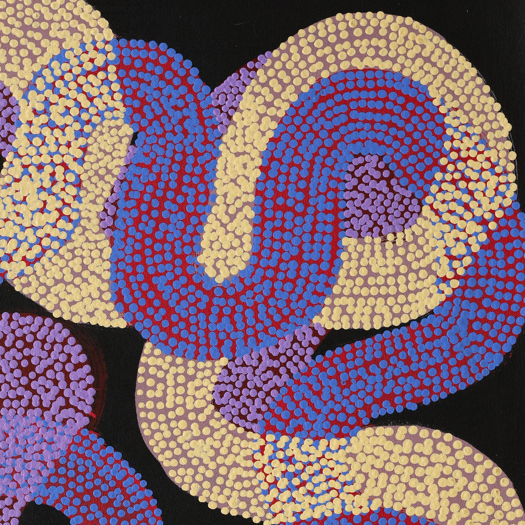 Aboriginal Artwork by Vanetta Nampijinpa Hudson, Warlukurlangu Jukurrpa (Fire country Dreaming), 61x46cm