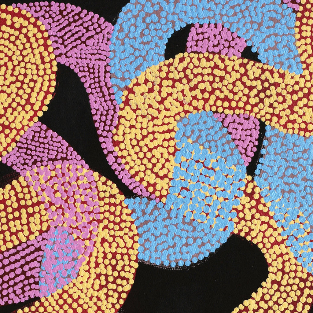 Aboriginal Artwork by Vanetta Nampijinpa Hudson, Warlukurlangu Jukurrpa (Fire country Dreaming), 61x46cm