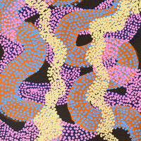 Aboriginal Artwork by Vanetta Nampijinpa Hudson, Warlukurlangu Jukurrpa (Fire country Dreaming), 76x30cm