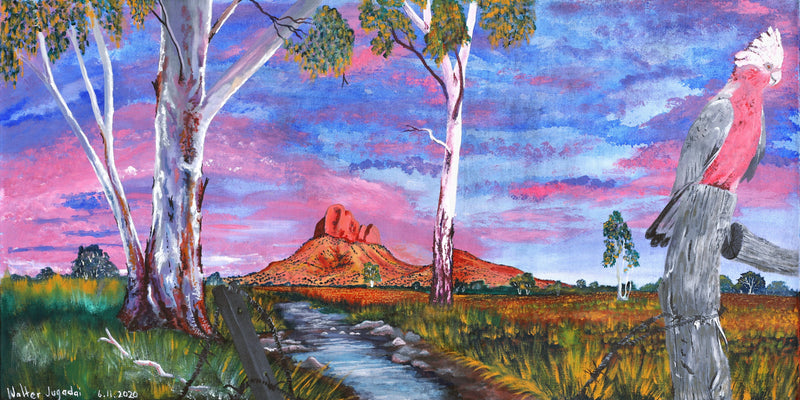 Aboriginal Artwork by Walter Jugadai, Haasts Bluff landscape, 122x61cm