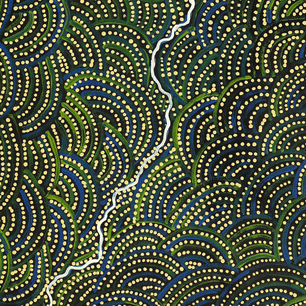 Aboriginal Artwork by Wendy Nungarrayi Brown, Napaljarri-warnu Jukurrpa (Seven Sisters Dreaming), 76x46cm