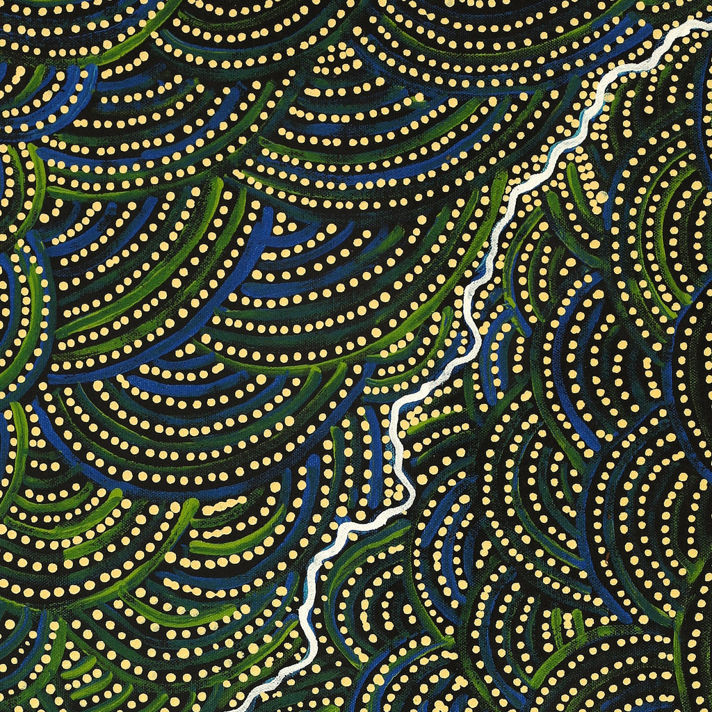 Aboriginal Artwork by Wendy Nungarrayi Brown, Napaljarri-warnu Jukurrpa (Seven Sisters Dreaming), 76x46cm
