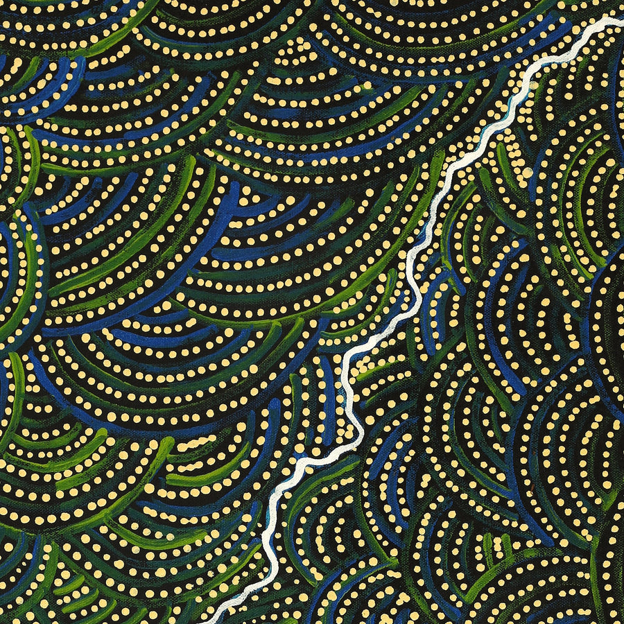 Aboriginal Artwork by Wendy Nungarrayi Brown, Napaljarri-warnu Jukurrpa (Seven Sisters Dreaming), 76x46cm